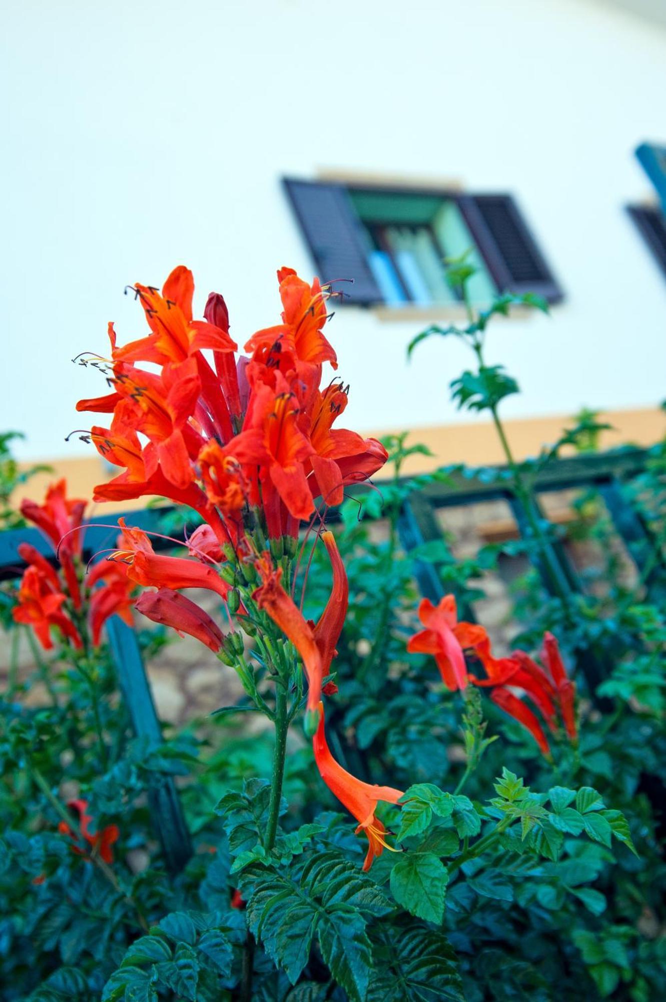 Aparthotel Casale La Zagara à Sciacca Extérieur photo
